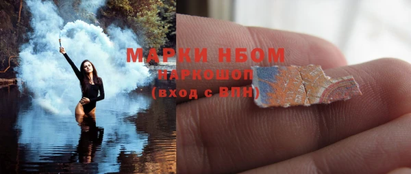 прущие грибы Волосово