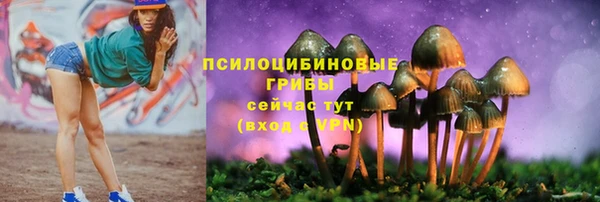 дживик Володарск