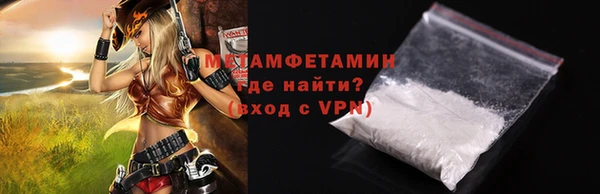 прущие грибы Волосово