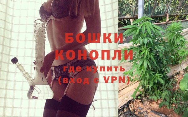 дживик Володарск