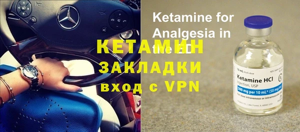 прущие грибы Волосово