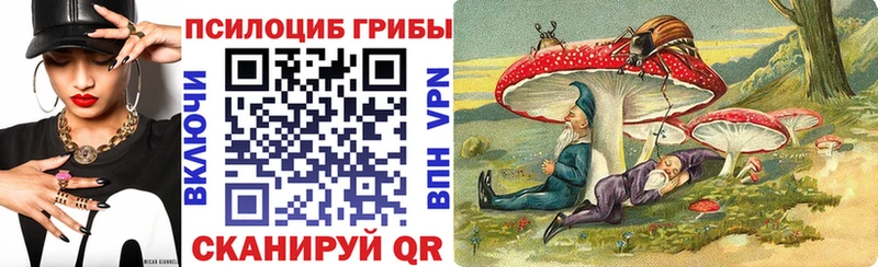 Купить где  Микунь  Псилоцибиновые грибы Psilocybine cubensis 
